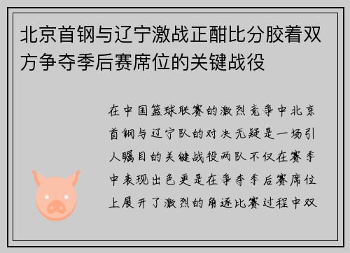 北京首钢与辽宁激战正酣比分胶着双方争夺季后赛席位的关键战役