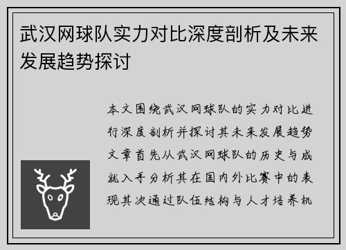 武汉网球队实力对比深度剖析及未来发展趋势探讨
